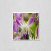 Wall Art Poster Print of Beautiful Pink Orchid Flowers Closeup. Dendrobium Orchid. Pink and White Orchid Isolated on Green Background. Orchid Flower in Garden.Dendrobium, Macro Orchids. Blue view 1