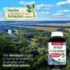 Lab - l carnitine - 1500 mg per Serving, 200 Capsules, l-carnitine - High Potency of - Acetyl l-carnitine -Supports Natural Energy Production, Supports Memory-Focus - carnitine - High Absorption. view 3