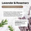 ATTITUDE Dish Soap, EWG Verified, Plant and Mineral-Based Ingredients, Vegan and Cruelty-free Household Products, Lavender and Rosemary, 16 Fl Oz view 3
