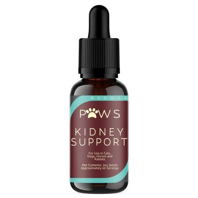 Arogya Paws Kidney Support | All Natural Herbal Remedy for Urinary and Bladder in Pets | 2oz Bottle