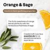ATTITUDE Dish Soap, EWG Verified, Plant and Mineral-Based Ingredients, Vegan and Cruelty-free Household Products, Orange and Sage, 67.6 Fl Oz view 4