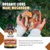 Ancient Bliss Lion's Mane Supplement (2 Month Supply)- 120 Vegan Mushroom Capsules- May Supports Mental Clarity, Energy & May Focus- Memory & Immune Support Mushroom Supplement view 4