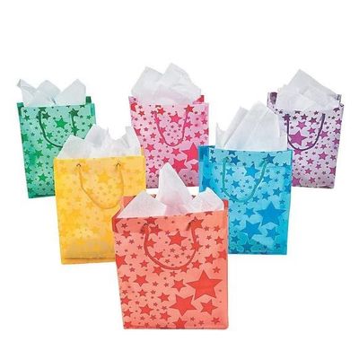 Assorted Frosted Star Gift Bags with Handles - 12 Pieces