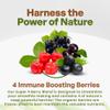 Go Nutra Organic Freeze Dried Acai Berry Blend for Bowls | Superfood Smoothie Mix with 4 Immune Boosting Berries | Acai Maqui Elderberry Acerola | Antioxidant Freeze Dried Berries 15 Servings 8oz view 3