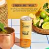 Recess Zero Proof Ginger Lime Mule Mocktail, 12 Pack view 4