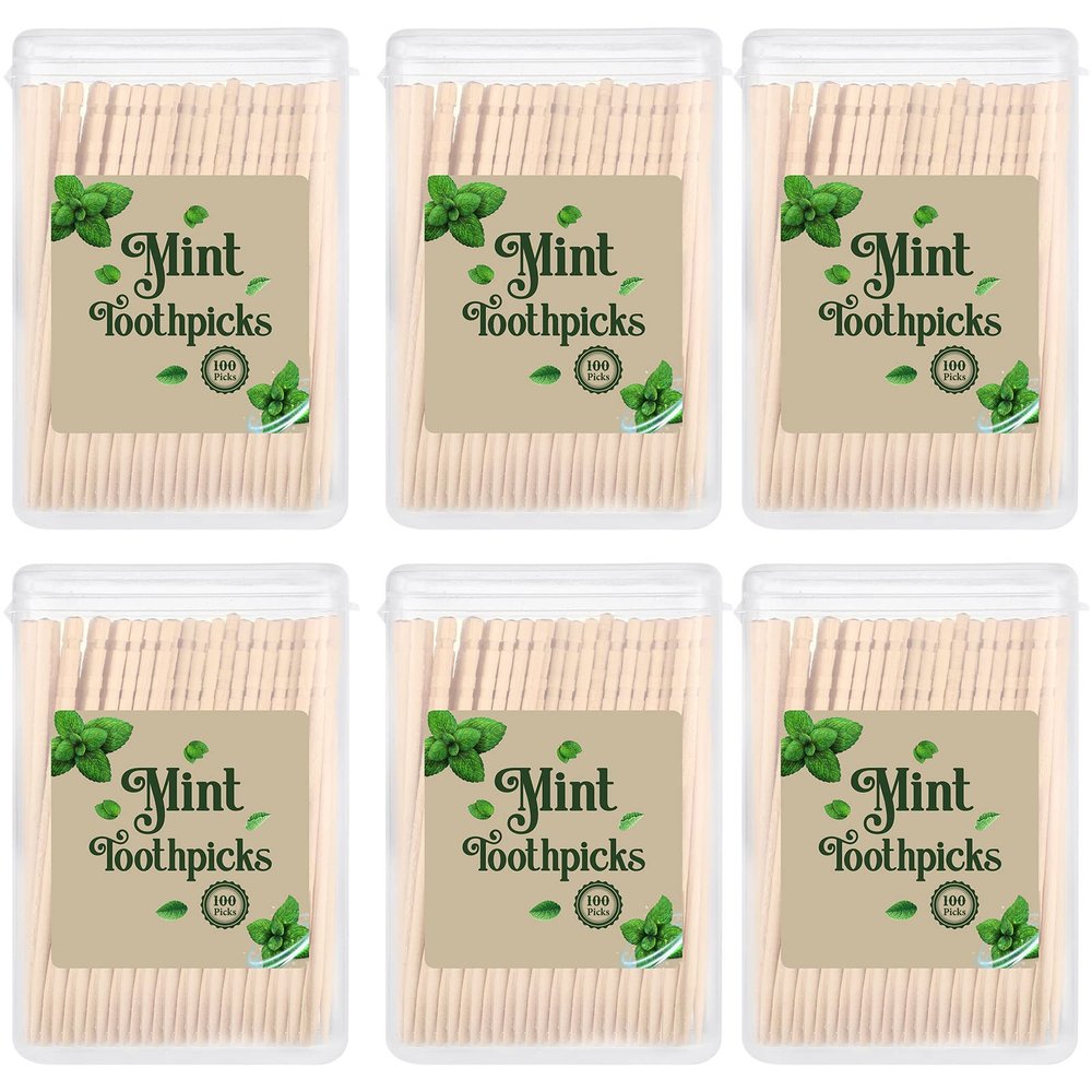600 Pcs Bulk Mint Toothpicks Wood Toothpicks Mint Flavored Toothpicks with 6 Clear Plastic Boxes for Kitchen Appetizers Fruit Tray Essential Teeth Dental Care