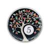 5 Year Sobriety Chip | Tree of Life AA Coin Token Medallion with Glow in The Dark Recovery Anniversary view 2