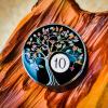 10 Year Sobriety Chip | Tree of Life AA Coin Token Medallion with Glow in The Dark Recovery Anniversary view 4