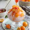 Bossen Concentrated Syrup_5.5 lb (Kumquat) view 4