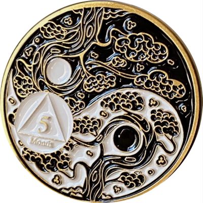 5 Month AA Medallion Ying Yang Black White Color Serenity Prayer Ship