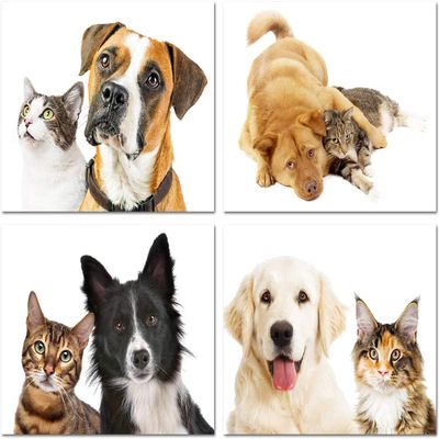 Small World Greetings Furry Friends Note Cards 12 Count - Blank Inside with White Envelopes - A2 Size 5.5" x 4.25" - Dog and Cat Stationery - All Occasion Birthday, Thank You, and More