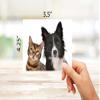 Small World Greetings Furry Friends Note Cards 12 Count - Blank Inside with White Envelopes - A2 Size 5.5" x 4.25" - Dog and Cat Stationery - All Occasion Birthday, Thank You, and More view 3