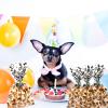 Coqofa 100 Pcs 6"X10" Dog Paw Bone Cellophane Treat Bags - Clear Candy Cookie Bags with Twist Ties for Pet Treat Party Favor - Black view 4