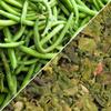 Dried Chopped String Beans by Its Delish, 12 Oz Bulk Bag | Dehydrated Cut Green Bean Vegetables | Dried Veggies For Cooking, Camping, Emergency Supply, Soups, Stir Fry | No Salt, Vegan, Kosher view 3