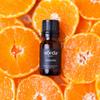 Vorda 100% Pure Essential Oil Single - Tangerine, Perfect for Aromatherapy view 2