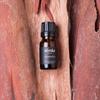 Vorda Morocco Cedarwood Single Noted Essential Oil - 1/3 fl. oz. Perfect for Aromatherapy Essential Oil for Diffusers, Skin Use Massage Oil, Candle Making view 2