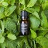 Vorda USA Spearmint Single Noted Essential Oil - 1/3 fl. oz. Perfect for Aromatherapy Essential Oil for Diffusers, Skin Use Massage Oil, Candle Making view 2