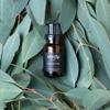 Vorda India Eucalyptus Single Noted Essential Oil - 1/3 fl. oz. Perfect for Aromatherapy Essential Oil for Diffusers, Skin Use Massage Oil, Candle Making view 2
