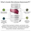 BIG BOLD HEALTH Microbiome Rejuvenate Prebiotic + Probiotic Supplement for Gut Health & Immune System Support - with Immune-Active Himalayan Tartary Buckwheat - Gluten-Free (60 Count (Pack of 1)) view 2