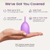 EcoBlossom Menstrual Cup Kit - Tampon, Pad, and Disc Alternative Product - Wear for 12 Hours - Reusable Period Cup/Copa Designed with Soft Flexible Medical-Grade Silicone (Small & Large) view 3