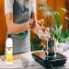 11 oz Liquid Germall Plus Preservative, Oil Soluble Natural Preservative, Germall Plus Suitable for Making Soap, Conditioners, Lotion, Creams and More view 4