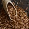 "Russkoe Pole" Buckwheat groats 3.30 Pounds/ 1.5 KG 100% Whole grain Pack of 1 view 4
