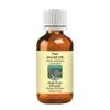 DEVPRAYAG Pure Avocado Oil (Persea americana) Cold Pressed 50ml (1.69 oz) view 1