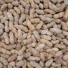 Barcelona Nut Inshell Peanuts Salted & Dry Roasted Bags - 10 Pounds - In Shell For Human - Whole Jumbo Peanuts In The Shell for People view 1