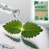 600 Pcs Mint Flavor Toothpicks Bulk Natural Wood Flavored Cinnamon Toothpicks for Kitchen Restaurant Supply Adults Humans Oral Dental Health view 4