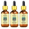 DEVPRAYAG Pure Borage Oil (Borago officinalis) with Glass Dropper Cold Pressed (Pack of Three) 100ml X 3 (10 oz) view 1