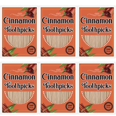 Irenare 600 Pcs Toothpick Cinnamon Wood Flavored Cinnamon Toothpicks Bulk for Adults Disposable Oral Hygiene Teeth Dental Care, 6 Pack