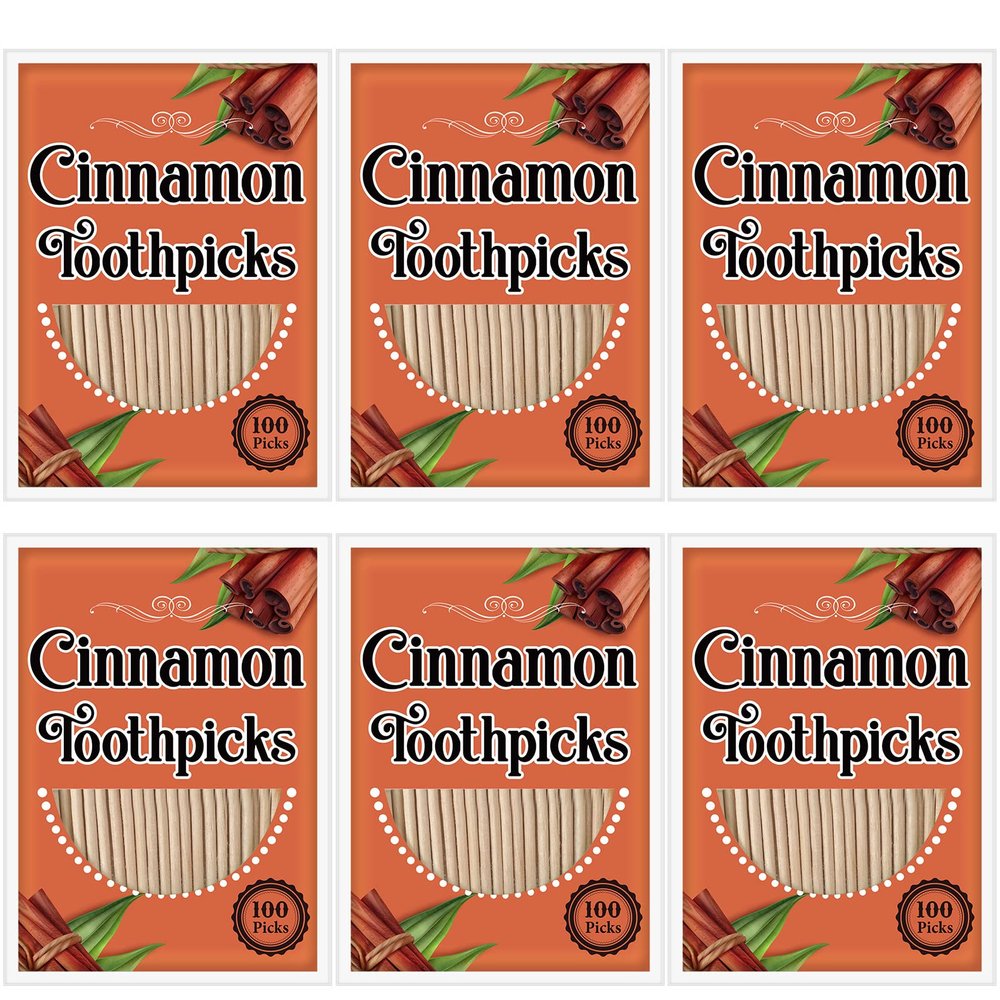 Irenare 600 Pcs Toothpick Cinnamon Wood Flavored Cinnamon Toothpicks Bulk for Adults Disposable Oral Hygiene Teeth Dental Care, 6 Pack