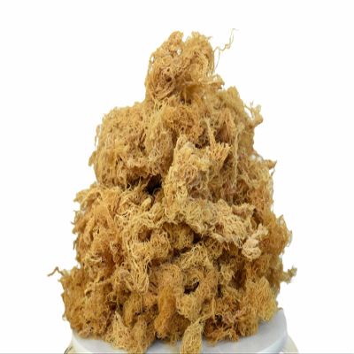 Organic Sea Moss Raw - Wild Crafted Seamoss Raw - 100% Organic Irish Sea Moss Raw - Dried Sea Moss Advanced Drink - Clean and Sundried - Vegan Sea Moss (1Pound) (16oz)