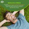 ADAPTOHEAL Adaptogen Leuzea, Ashwagandha, Rhodiola Rosea, Schisandra and Ginseng Complex  Energyheal Adaptogenic Energy Supplement for Natural Energy, Stress and Adrenal Support 180 Capsules view 4
