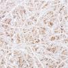 150Grams / 5.3 Oz White Crinkle Cut Paper Shred Filler Gift Boxes Filler Gift Wrapping Gift Basket Filler for Gift Wrapping & Basket Filling view 1
