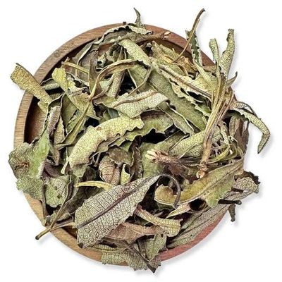 NY SPICE SHOP Whole Yerba Santa Leaf - 8 Ounce Raw Yerba Santa Leafs Tea (Loose) - Pure Loose Leafs for Hi Caf Tea - Ecoteas Yerba Mate