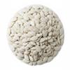 Roasted and Salted Oregon Squash Seeds, White Pumpkin Seeds in Shell (2 Pound) view 1