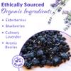 Ednberry Blueberry Lavender Premium Organic Elderberry Syrup Kit Makes 32 oz - Stronger Than Elderberry Gummies! view 3