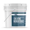 Earthborn Elements Creatine Monohydrate Powder 1 Gallon Bucket, Micronized & Unflavored, Dietary Supplement, No Additives (84 Ounce) view 2