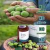 Q.REST 33.8Fl oz Korea Hadong Plum Extract 1000ml Plum Concentrate Syrup view 4