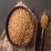 Food to Live Spelt Berries, 3 Pounds  A Nutritious Ancient Grain for Healthy Cooking, Baking, or Snacking. Rich in Fiber, Protein, and Iron. Made in USA. Order Whole Hulled Wheat Seeds in Bulk! view 4