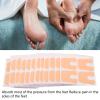 12 Sheets Felt Callus Pads, Self Adhesive U Shaped Felt Forefoot Cushion Felt Insert Pads, Prevent Callus, Reduce Pain view 4