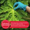 2.6oz Dried Papaya Leaves, 100% Natural Papaya Leaves, Leaf Tea, Non-GMO, Caffeine-free, Vegan-friendly. by Akshit view 4