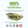 Akshit Dried Avocado Leaves 2.6 oz | Hojas De Aguacate Secas, Leaf Tea, Caffeine-Free, Non-GMO | Natural Herbal Tea Loose Leaf from Avocado Tree. Pack of 1 view 2