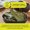 Akshit Dried Avocado Leaves 2.6 oz | Hojas De Aguacate Secas, Leaf Tea, Caffeine-Free, Non-GMO | Natural Herbal Tea Loose Leaf from Avocado Tree. Pack of 1 view 3