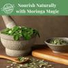 2.6oz Dried Moringa Leaves, Hojas De Moringa Secas,100% Natural MoringaOleifera Leaves, Loose Leaf Tea. Non GMO, Caffeine-free, No Additives. by Akshit view 4