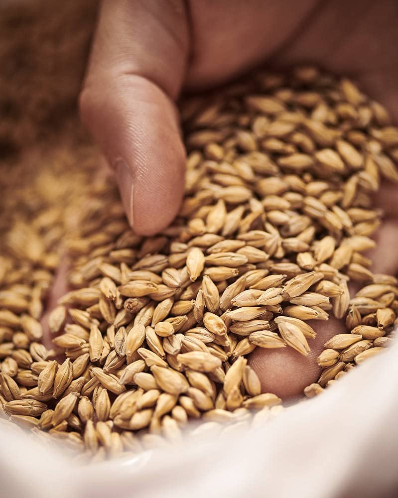 10LB BOHEMIAN PILSNER Weyermann Czech Heirloom Malt Uncrushed MWEY7004