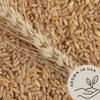 Be Still Farms Farro Grain Organic (4.8 lb) - Whole Emmer Wheat Berries Bulk - Ancient Grains Ideal for Soup, Salad, Flour - High in Protein & Fiber | USA Grown | USDA Certified | Vegan | Non-GMO view 4