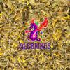 Alebrixes | Arnica Flowers Herbal Tea (4 oz)| Premium Quality Whole Arnica Flowers Tea | Te de Arnica | Wildcrafted. view 4