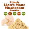 Food to Live - Organic Lion's Mane Mushroom Powder, 2 Pounds  Elevate Your Brain Wellness with Premium, Non-GMO, Natural, and Vegan Superfood to Better Focus view 4